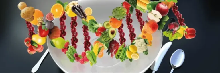 Alimentación