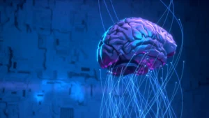 Cerebro