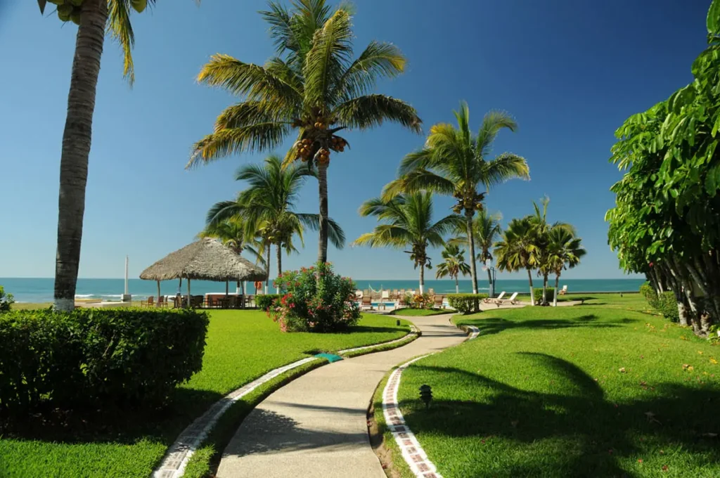 Areas verdes oceánica