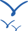 icon libertad Oceanica.png